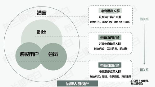 四維升級(jí) 萬(wàn)字梳理食品品牌抖音電商數(shù)字化增長(zhǎng)指南